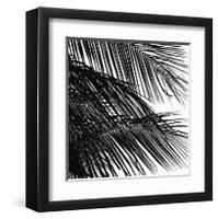 Palms, no. 4 (detail)-Jamie Kingham-Framed Giclee Print