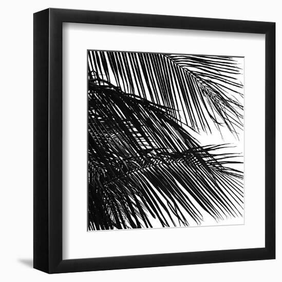 Palms, no. 4 (detail)-Jamie Kingham-Framed Giclee Print