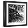 Palms, no. 4 (detail)-Jamie Kingham-Framed Giclee Print