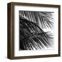 Palms, no. 4 (detail)-Jamie Kingham-Framed Giclee Print
