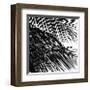 Palms, no. 4 (detail)-Jamie Kingham-Framed Giclee Print