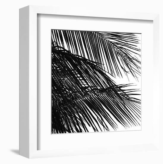 Palms, no. 4 (detail)-Jamie Kingham-Framed Giclee Print