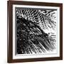 Palms, no. 4 (detail)-Jamie Kingham-Framed Giclee Print