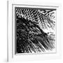 Palms, no. 4 (detail)-Jamie Kingham-Framed Giclee Print