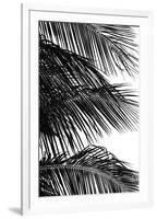 Palms, no. 4-Jamie Kingham-Framed Giclee Print