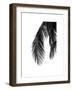 Palms, no. 5-Jamie Kingham-Framed Giclee Print