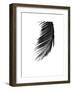 Palms, no. 8-Jamie Kingham-Framed Giclee Print