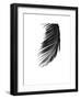 Palms, no. 8-Jamie Kingham-Framed Giclee Print