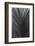 Palms, no. 9-Jamie Kingham-Framed Giclee Print