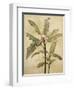 Palms of the Tropics I-Jill Deveraux-Framed Art Print