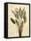 Palms of the Tropics III-Jill Deveraux-Framed Stretched Canvas