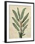 Palms of the Tropics IV-Jill Deveraux-Framed Art Print