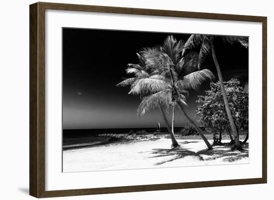 Palms on a White Sand Beach in Key West - Florida-Philippe Hugonnard-Framed Photographic Print