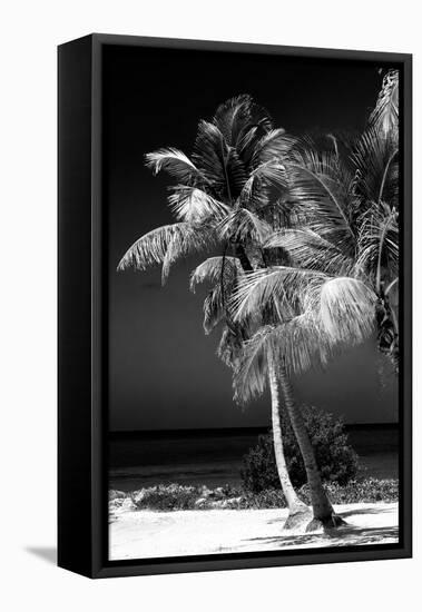 Palms on a White Sand Beach in Key West - Florida-Philippe Hugonnard-Framed Stretched Canvas