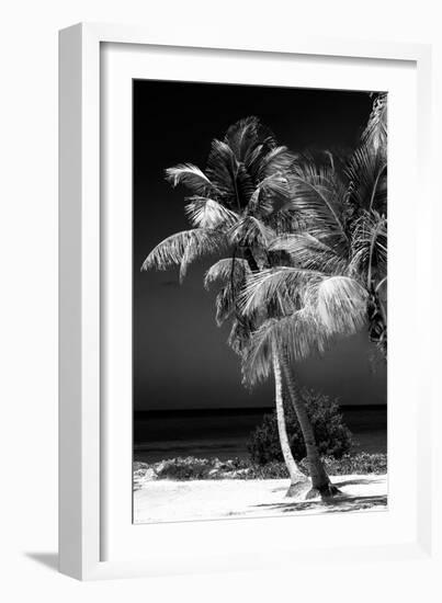 Palms on a White Sand Beach in Key West - Florida-Philippe Hugonnard-Framed Photographic Print