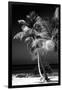 Palms on a White Sand Beach in Key West - Florida-Philippe Hugonnard-Framed Photographic Print