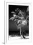 Palms on a White Sand Beach in Key West - Florida-Philippe Hugonnard-Framed Photographic Print