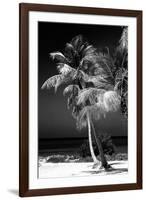 Palms on a White Sand Beach in Key West - Florida-Philippe Hugonnard-Framed Photographic Print