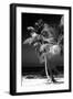 Palms on a White Sand Beach in Key West - Florida-Philippe Hugonnard-Framed Premium Photographic Print