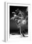 Palms on a White Sand Beach in Key West - Florida-Philippe Hugonnard-Framed Premium Photographic Print