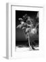 Palms on a White Sand Beach in Key West - Florida-Philippe Hugonnard-Framed Photographic Print