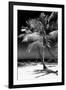 Palms on a White Sand Beach in Key West - Florida-Philippe Hugonnard-Framed Premium Photographic Print