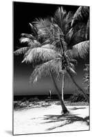 Palms on a White Sand Beach in Key West - Florida-Philippe Hugonnard-Mounted Premium Photographic Print