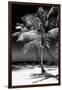 Palms on a White Sand Beach in Key West - Florida-Philippe Hugonnard-Framed Premium Photographic Print