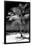 Palms on a White Sand Beach in Key West - Florida-Philippe Hugonnard-Framed Premium Photographic Print