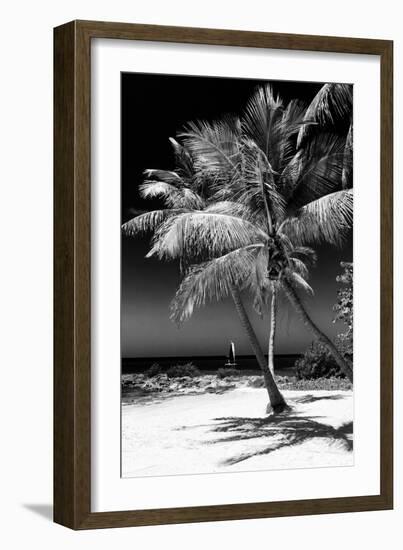 Palms on a White Sand Beach in Key West - Florida-Philippe Hugonnard-Framed Photographic Print