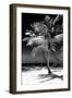 Palms on a White Sand Beach in Key West - Florida-Philippe Hugonnard-Framed Photographic Print