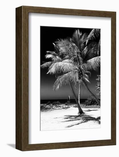 Palms on a White Sand Beach in Key West - Florida-Philippe Hugonnard-Framed Photographic Print