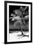 Palms on a White Sand Beach in Key West - Florida-Philippe Hugonnard-Framed Photographic Print