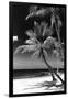 Palms on a White Sand Beach in Key West - Florida-Philippe Hugonnard-Framed Photographic Print