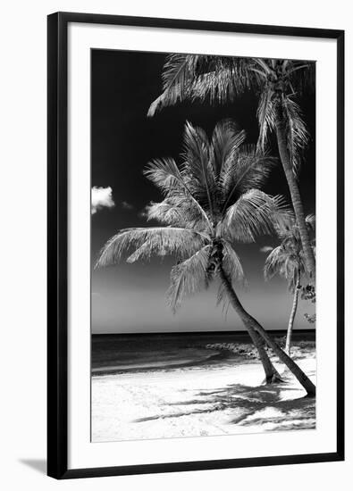 Palms on a White Sand Beach in Key West - Florida-Philippe Hugonnard-Framed Photographic Print