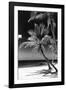 Palms on a White Sand Beach in Key West - Florida-Philippe Hugonnard-Framed Photographic Print