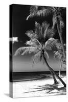 Palms on a White Sand Beach in Key West - Florida-Philippe Hugonnard-Stretched Canvas