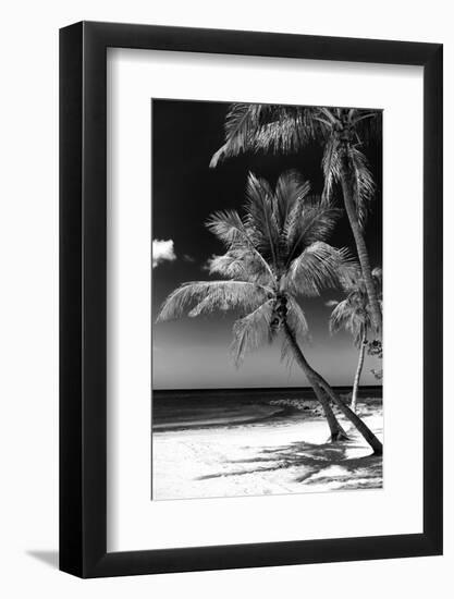 Palms on a White Sand Beach in Key West - Florida-Philippe Hugonnard-Framed Photographic Print