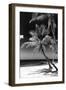 Palms on a White Sand Beach in Key West - Florida-Philippe Hugonnard-Framed Premium Photographic Print