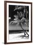 Palms on a White Sand Beach in Key West - Florida-Philippe Hugonnard-Framed Photographic Print