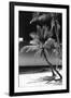 Palms on a White Sand Beach in Key West - Florida-Philippe Hugonnard-Framed Photographic Print