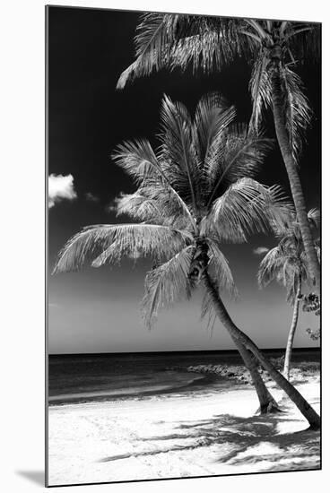 Palms on a White Sand Beach in Key West - Florida-Philippe Hugonnard-Mounted Photographic Print