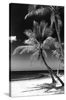 Palms on a White Sand Beach in Key West - Florida-Philippe Hugonnard-Stretched Canvas