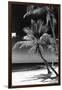 Palms on a White Sand Beach in Key West - Florida-Philippe Hugonnard-Framed Premium Photographic Print