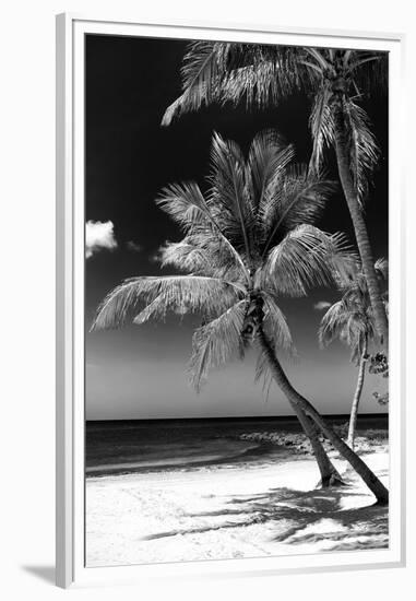 Palms on a White Sand Beach in Key West - Florida-Philippe Hugonnard-Framed Premium Photographic Print