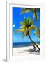 Palms on a White Sand Beach in Key West - Florida-Philippe Hugonnard-Framed Photographic Print