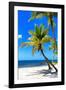 Palms on a White Sand Beach in Key West - Florida-Philippe Hugonnard-Framed Photographic Print