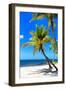 Palms on a White Sand Beach in Key West - Florida-Philippe Hugonnard-Framed Photographic Print