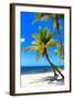 Palms on a White Sand Beach in Key West - Florida-Philippe Hugonnard-Framed Photographic Print