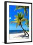 Palms on a White Sand Beach in Key West - Florida-Philippe Hugonnard-Framed Photographic Print